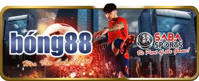 Hoàn trả hàng tuần baosting79 nhà cái