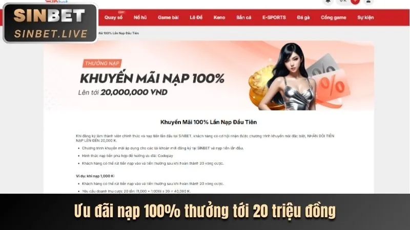 Ưu đãi chào mừng baosting79 nhà cái